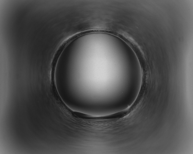 X0000088451222200705291506
