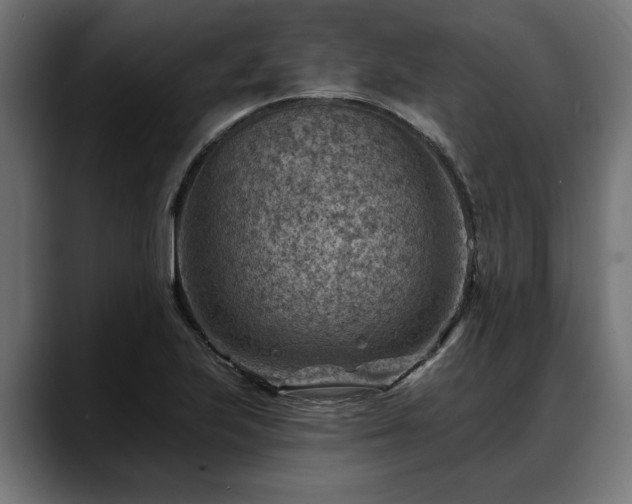 X0000088451223200705291506