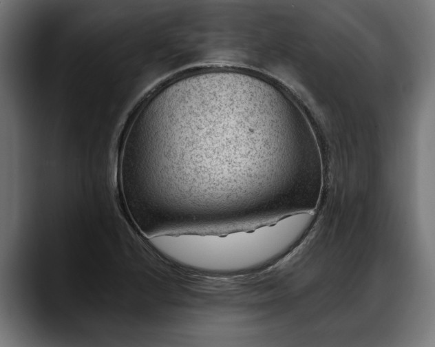 X0000088451224200705291506