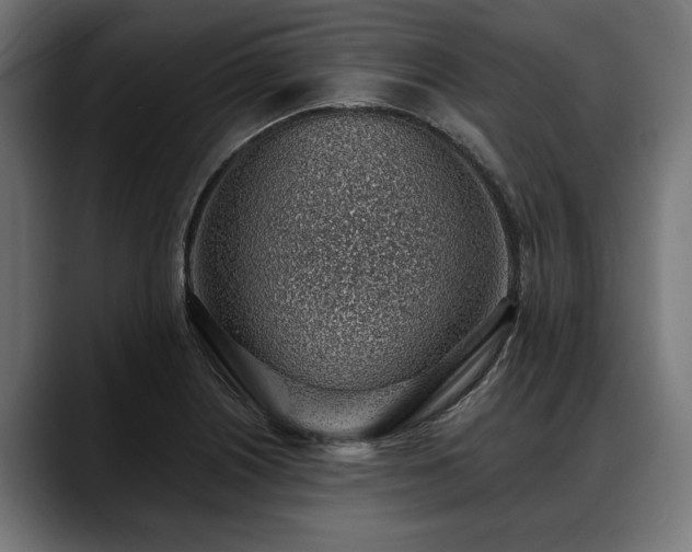 X0000088451226200705291506