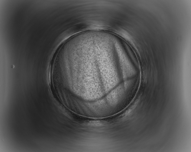 X0000088451227200705291507
