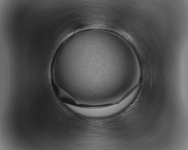 X0000088451230200705291507