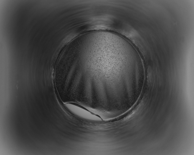 X0000088451233200705291507