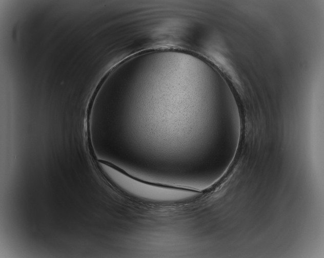 X0000088451234200705291507