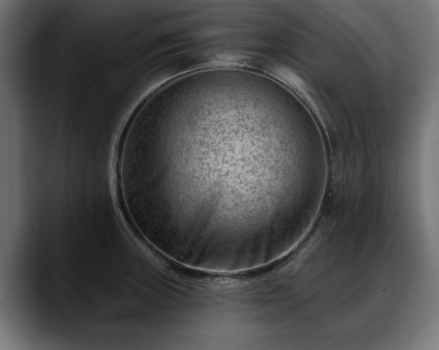 X0000088451235200705291507