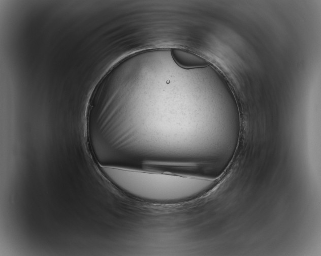 X0000088451236200705291507