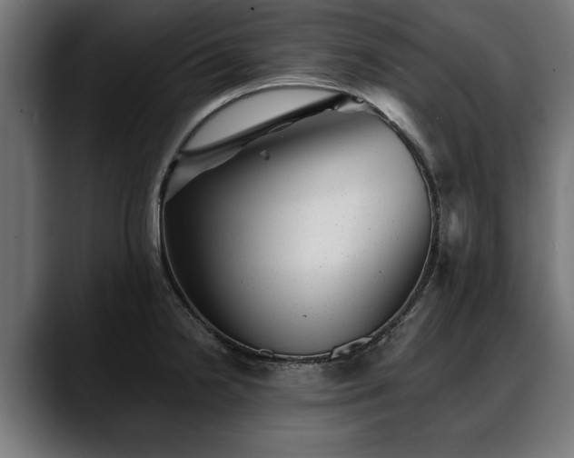 X0000088451238200705291507