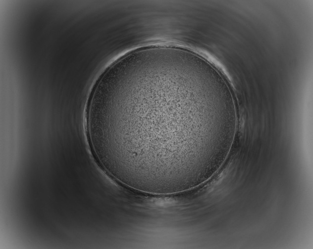 X0000088451239200705291507
