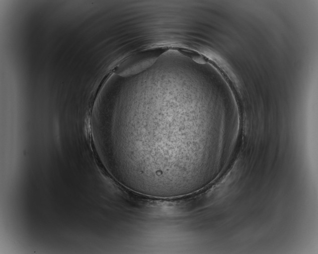 X0000088451241200705291507