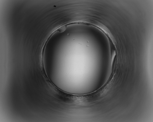 X0000088451242200705291507