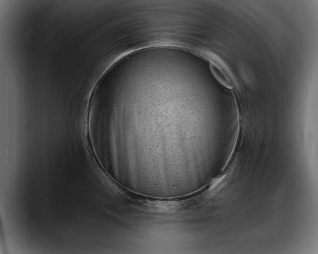 X0000088451244200705291507