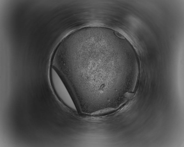 X0000088451245200705291507