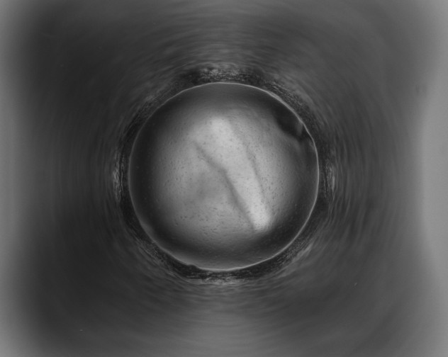 X0000088451250200705291506