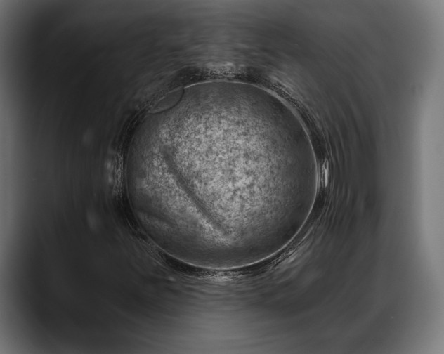 X0000088451251200705291506