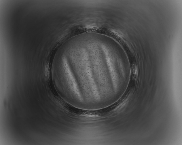 X0000088451252200705291506