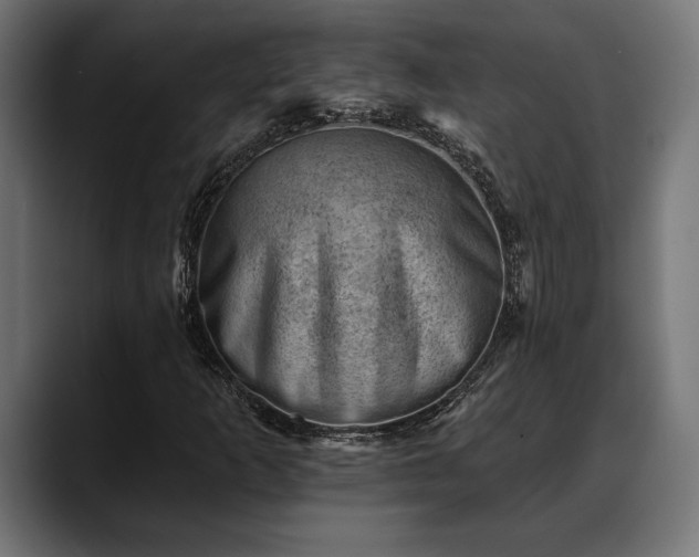 X0000088451253200705291506