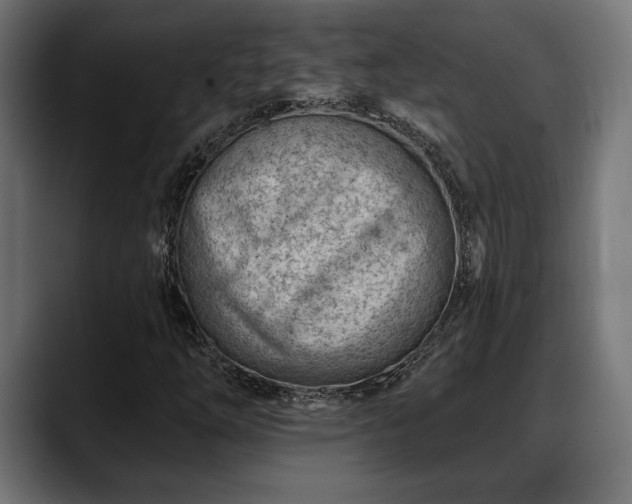 X0000088451254200705291506