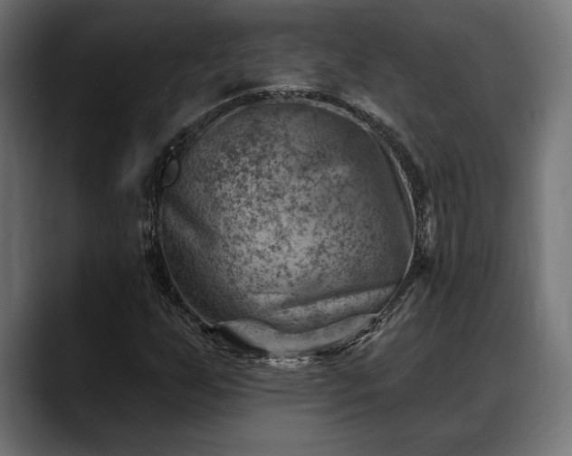 X0000088451255200705291506