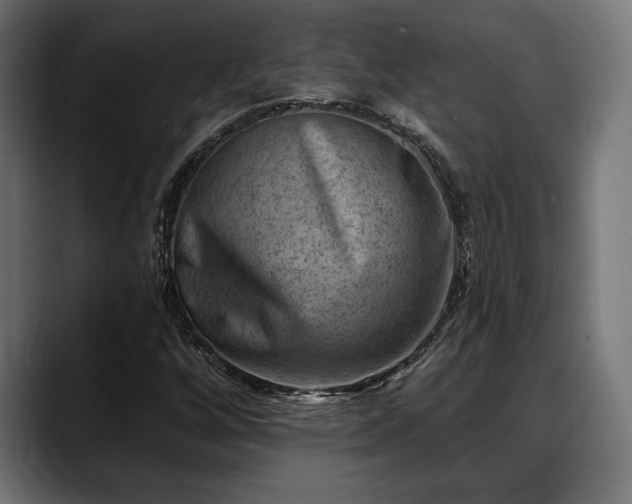 X0000088451256200705291506