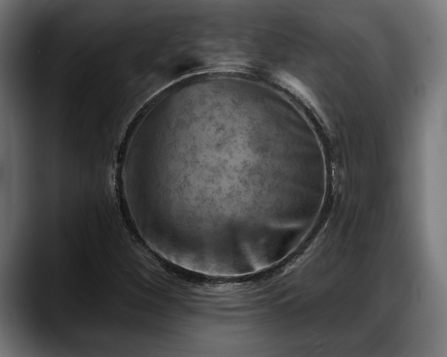 X0000088451260200705291506