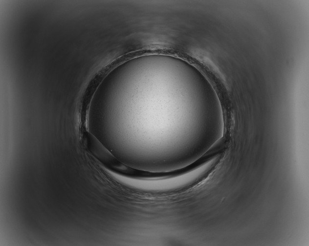 X0000088451261200705291506