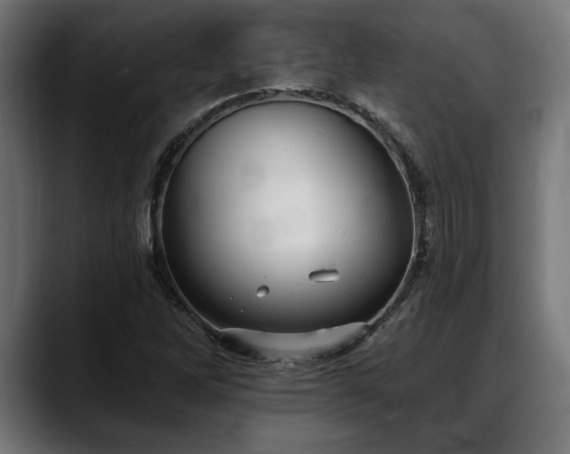 X0000088451262200705291506