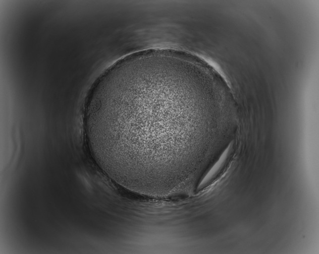 X0000088451263200705291506