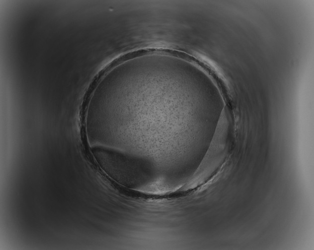 X0000088451264200705291506