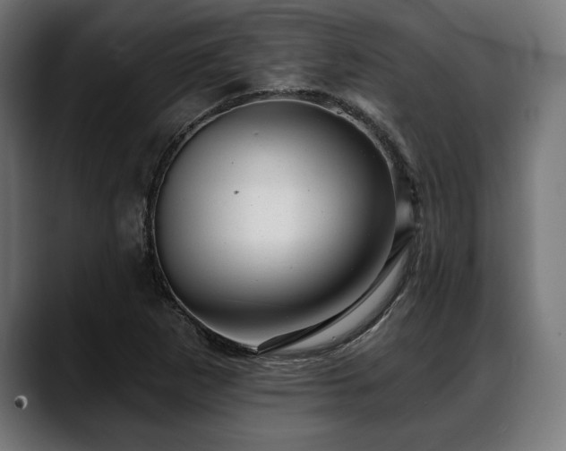 X0000088451265200705291506