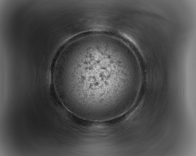 X0000088451267200705291506