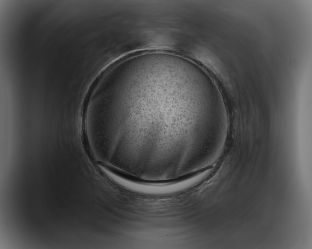 X0000088451268200705291506