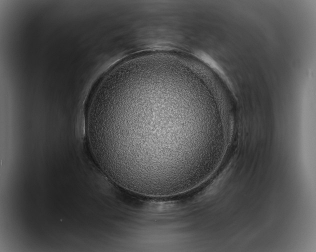 X0000088451269200705291506