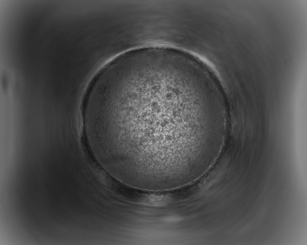 X0000088451271200705291506