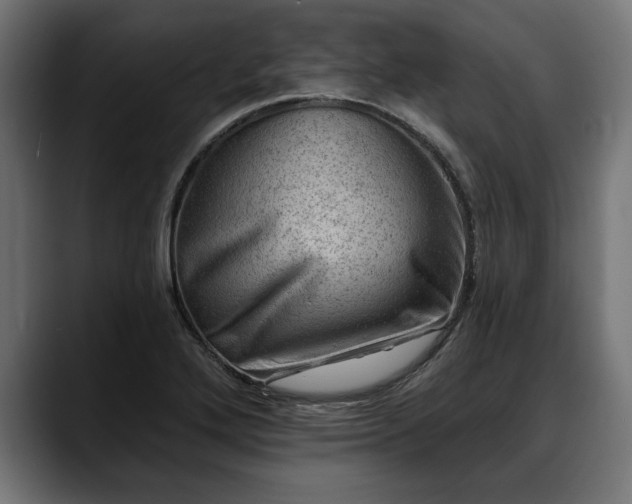 X0000088451272200705291506