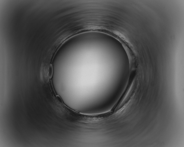 X0000088451273200705291506