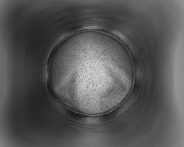 X0000088451274200705291506