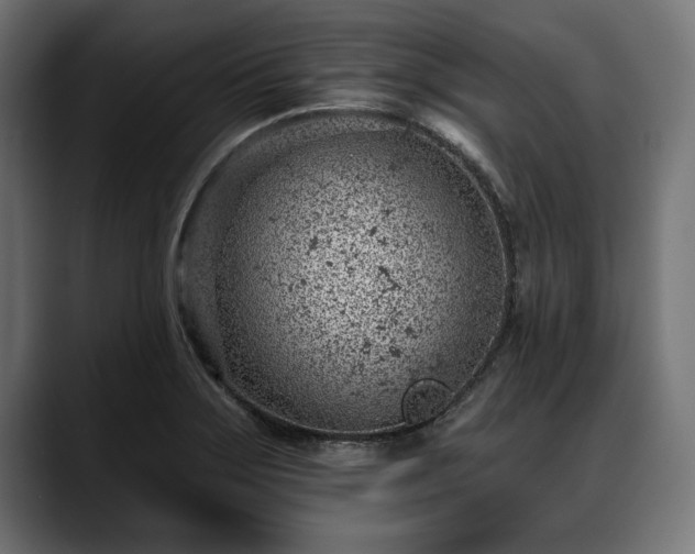X0000088451275200705291506