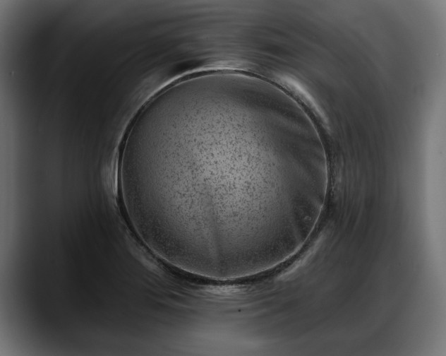 X0000088451276200705291506