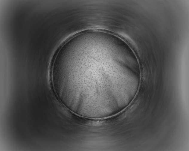 X0000088451278200705291506