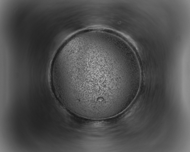X0000088451279200705291506