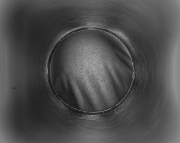 X0000088451280200705291506