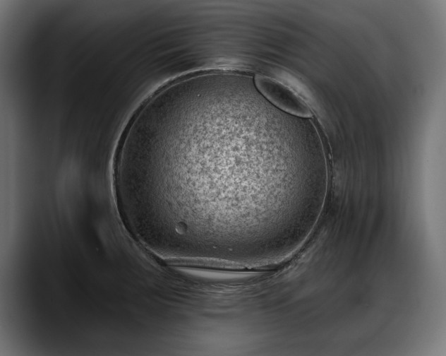 X0000088451283200705291506