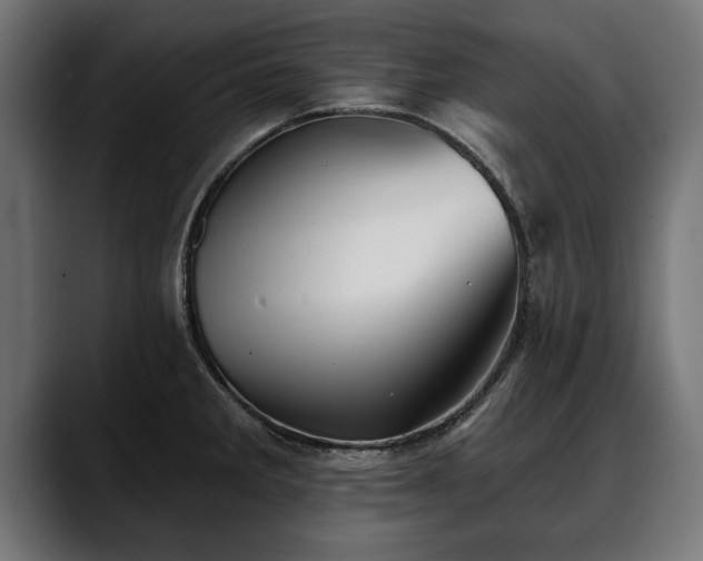 X0000088451285200705291506