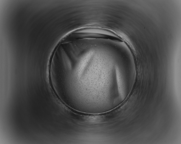 X0000088451288200705291506
