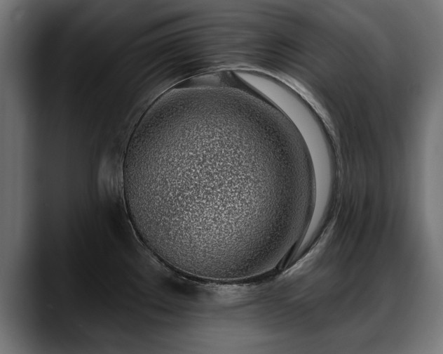 X0000088451289200705291506