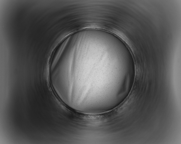 X0000088451290200705291506