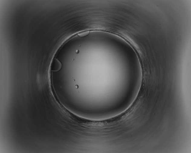 X0000088451291200705291506