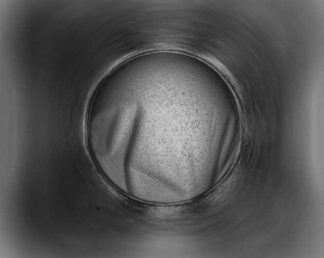 X0000088451294200705291506