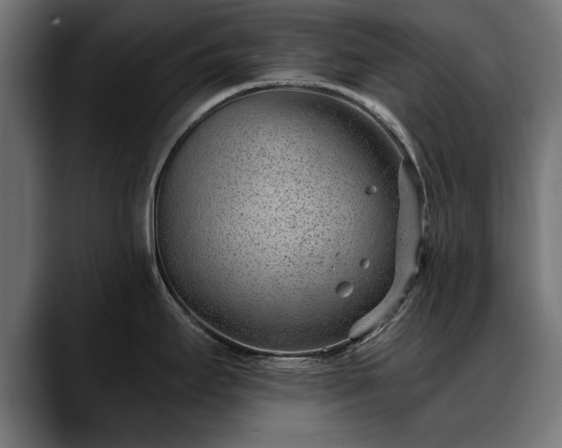X0000088451295200705291506