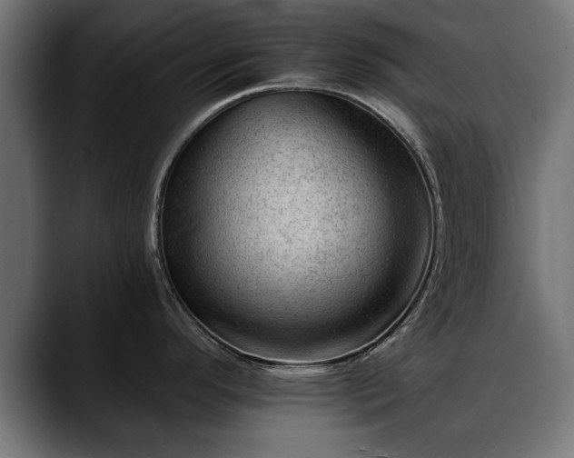X0000088451296200705291506